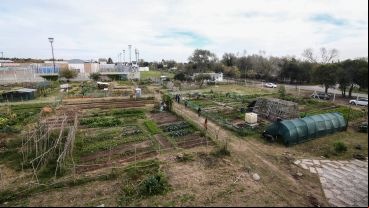 Trabajar con la tierra: así es por dentro el Parque Huerta Oeste.