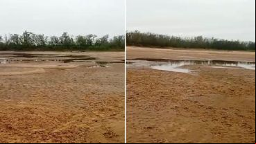 Postales de la bajante: costas más amplias, desmoronamientos, el Paraná viejo seco.