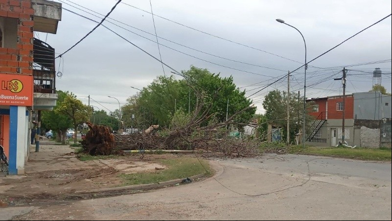 La situación se repetía en diferentes zonas de la ciudad.