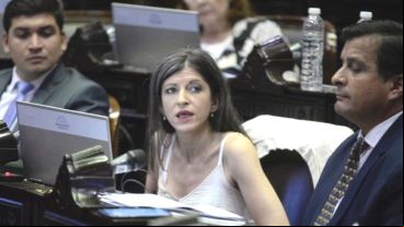La diputada kirchnerista insultó al presidente y después pidió disculpas.