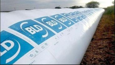 A diferencia del resto de los operadores que cayeron, BLD no tuvo paso por los tribunales penales.