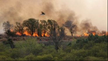 Tras tres años de fuego, no hay responsables. (Alan Monzón/Rosario3)
