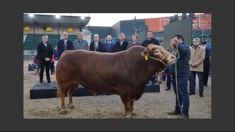 Una ausencia en la Rural de Palermo levantó debate. Pero no todo es lo que parece