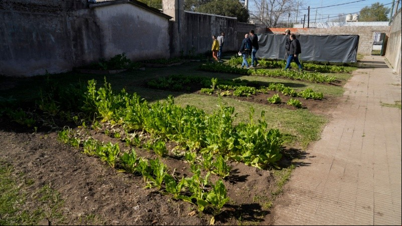 La huerta de un centro comunitario de barrio Ludueña.