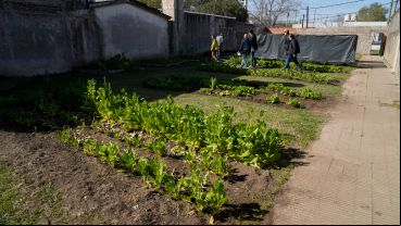 La huerta de un centro comunitario de barrio Ludueña.