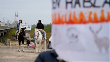 La marcha en el puente en contra de la Ley de Humedales