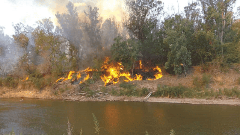 El fuego en la zona de Timbúes se expandió hacia la costa de Oliveros el fin de semana.