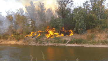 El fuego en la zona de Timbúes se expandió hacia la costa de Oliveros el fin de semana.