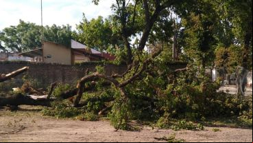 Vecinos rechazan la construcción de un edificio público en el parque.