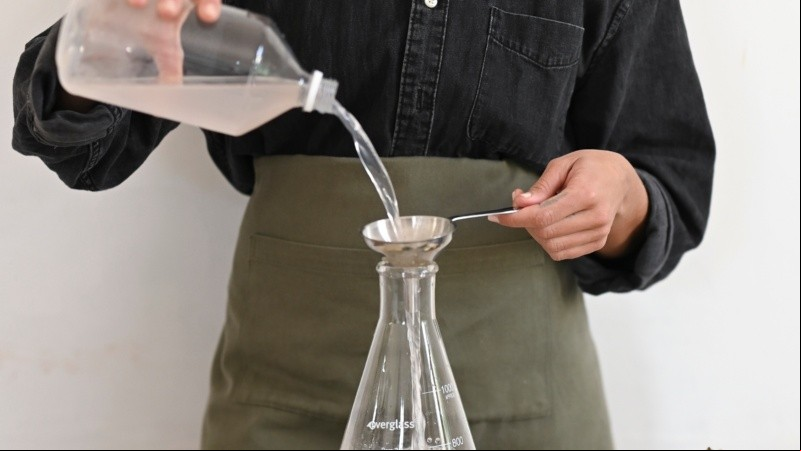 La intervención de bacterias, hongos y levaduras genera una transformación en los alimentos