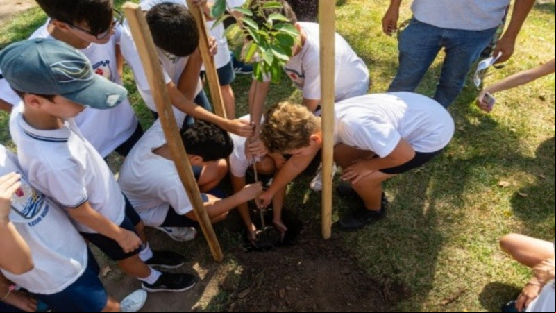 Plantación participativa que el Municipio realizó junto a alumnas y alumnos de 6to. grado de la Escuela Madre Cabrini