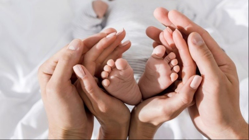 Para lograr una concepción se requieren óvulos, ovulación, espermatozoides y, también, un entorno sano