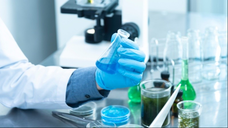 El estudio fue realizado en ratones y alientan a crear ensayos clínicos en humanos