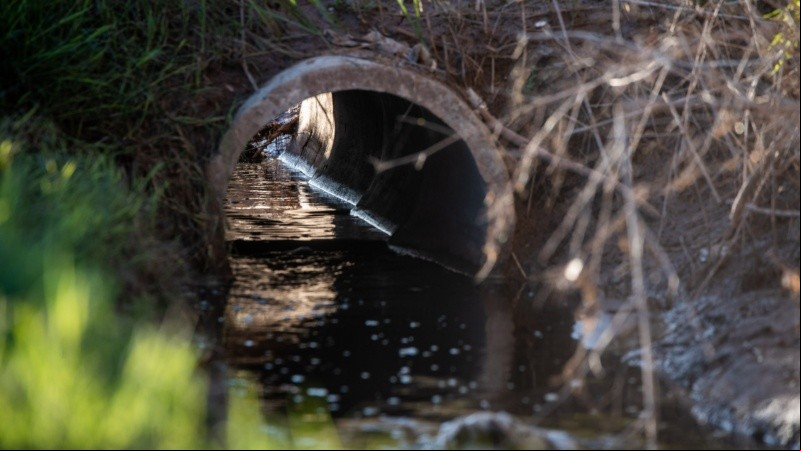 La muestra analizada fue tomada en un canal lindero al basural.