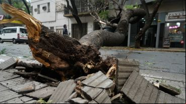 El fuerte viento causó daños en 3 de Febrero entre Paraguay y Presidente Roca.
