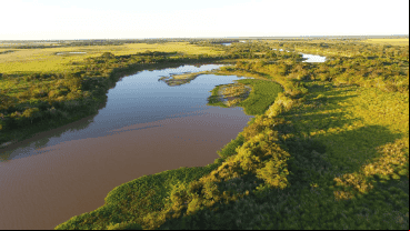 Los humedales son ecosistemas diversos: Santa Fe está atravesado por estos de sur a norte.