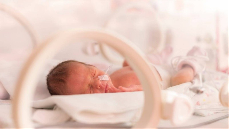 Nacer prematuramente puede afectar al desarrollo cerebral, según detallaron los expertos.