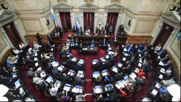 El DNU fue rechazado en el Senado.