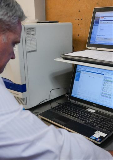 Dengue y cambio climático: datos y curvas comparadas de un brote histórico