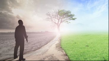 Tanto las temperaturas más bajas de las esperables como las más altas constituyen un riesgo, según los investigadores.