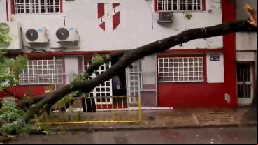 La rama cruzó el frente del club rosarino.
