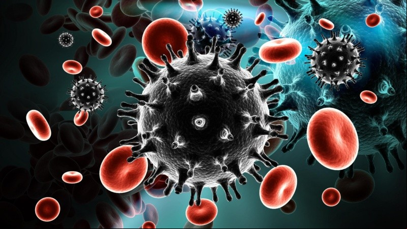 Los pacientes denominados controladores de élite son aquellos que no requieren ingerir antirretrovirales para controlar la presencia de virus en sangre.