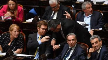 Diputados de Hacemos Coalición Federal.
