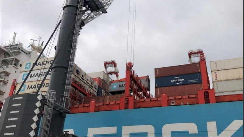 La medida de fuerza en el Senasa paralizará las exportaciones agroindustriales por tres días.