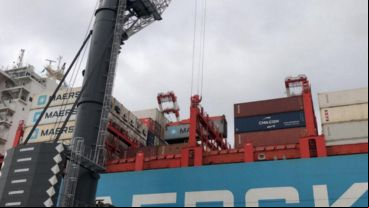 La medida de fuerza en el Senasa paralizará las exportaciones agroindustriales por tres días.