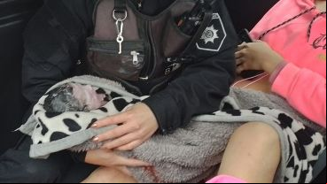 El bebé recién nacido en el patrullero, junto a su madre y a la oficial que asistió el parto.