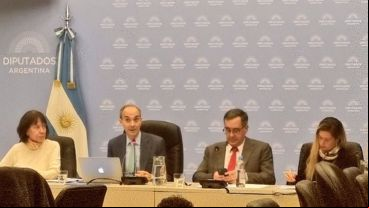 El funcionario nacional en la comisión de Diputados.