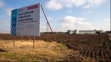 En Máximo Paz ya funcionan invernaderos, cultivos a cielo abierto y fábrica de conservas.