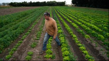 El Proyecto Agroecológico Casilda (Paca) encabezado por Marcelo Fratín y su familia, en 11 hectáreas.