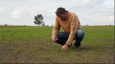 El Proyecto Agroecológico Casilda (Paca) encabezado por Marcelo Fratín y su familia, en 11 hectáreas.