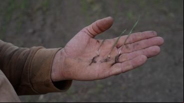 El Proyecto Agroecológico Casilda (Paca) encabezado por Marcelo Fratín y su familia, en 11 hectáreas.