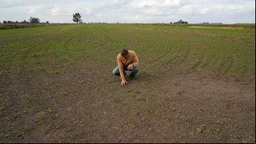 El Proyecto Agroecológico Casilda (Paca) encabezado por Marcelo Fratín y su familia, en 11 hectáreas.