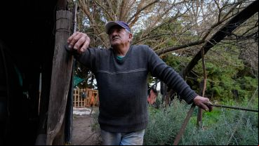 El Proyecto Agroecológico Casilda (Paca) encabezado por Marcelo Fratín y su familia, en 11 hectáreas.