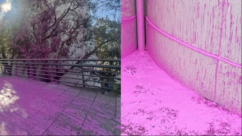 Algunas imágenes de la pintura salpicada en distintos sectores cercanos a los silos.
