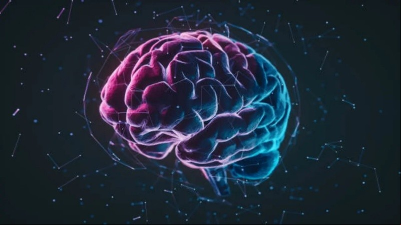 Los investigadores enfatizan la importancia y la necesidad de la intervención y la prevención.