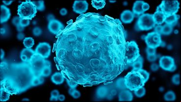 Una persona contrae una nueva infección por herpes genital a cada segundo.