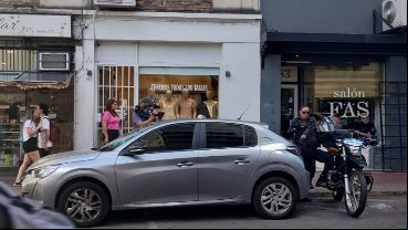 El auto donde permaneció varias horas encerrado el animal, y donde finalmente murió.
