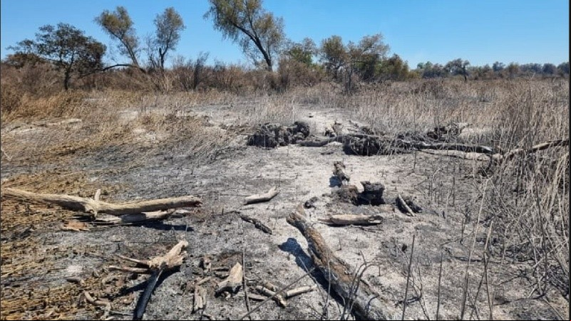 Así quedaron varios sectores de la isla arrasados por el fuego desde el jueves.