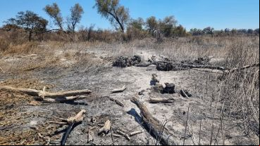 Así quedaron varios sectores de la isla arrasados por el fuego desde el jueves.