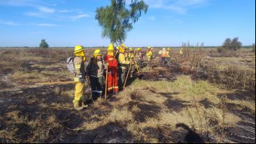 Así quedaron varios sectores de la isla arrasados por el fuego desde el jueves.
