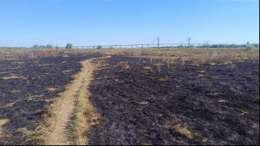 Así quedaron varios sectores de la isla arrasados por el fuego desde el jueves.