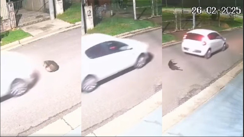 El suceso ocurrió el pasado 26 de febrero, alrededor de las 12 de la noche en el Barrio Chaumet.