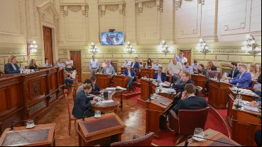 El primer proyecto de ley se presentó en 2002 y el Senado siempre se negó a votarlo.