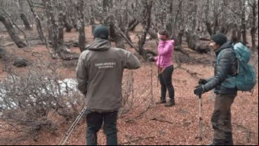 Dos jóvenes mujeres que desaparecieron el pasado viernes mientras hacían una excursión en El Bolsón eran buscadas intensamente este domingo.