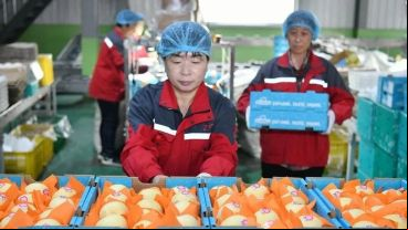 El hecho es histórico, anunciaron las aduanas de Shijiazhuang, en la provincia septentrional China de Hebei.
