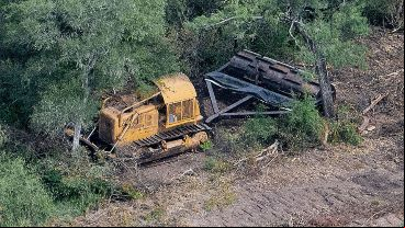 Denuncian que el desmonte en Chaco esconde una trama de complicidades y corrupción.